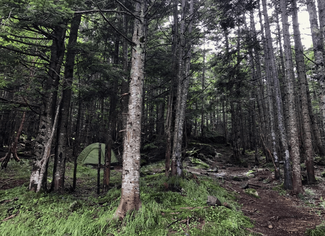 林の中のテント